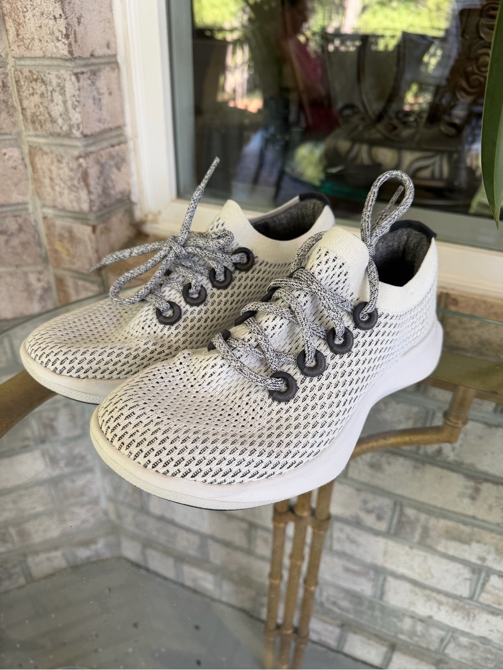 allbirds Women's Light Gray Knit Sneakers